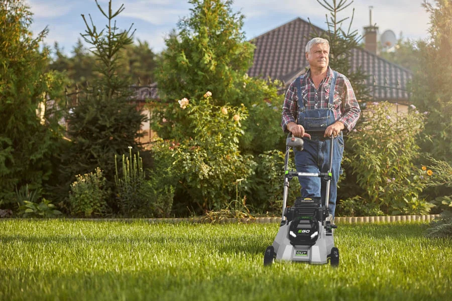 brushless lawn mower