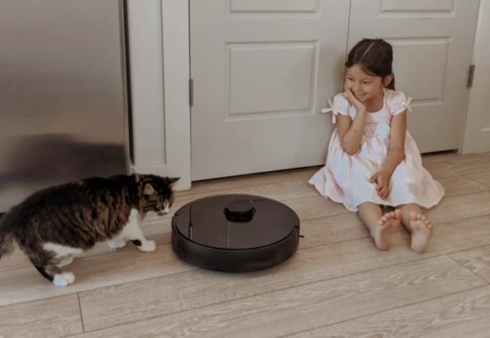 sweeping robot vacuum cleaner